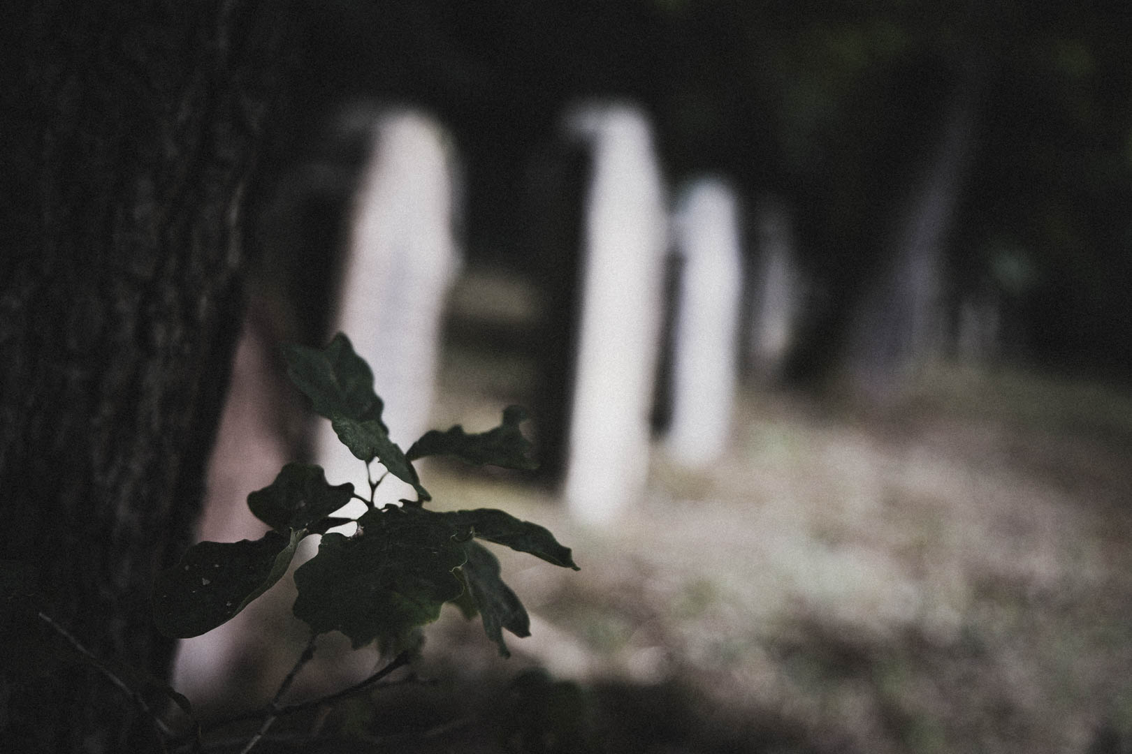 Nesselröden, Jüdischer Friedhof Nesselröden